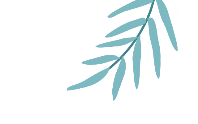 培训动态,自信演讲展现风采国培中心携手新莲小学中英双语模联课程圆满结课自信演讲,展现风采——国培中心携手新莲小学中英双语模联课程圆满结课,国培中心